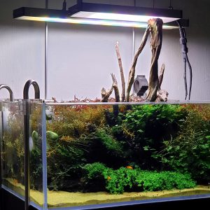 Aquarium Lights